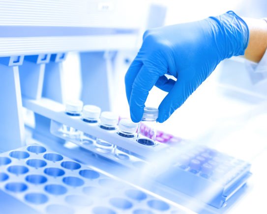Nutraceutical Products