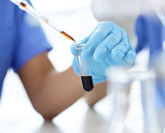 Pharmaceutical Enzymes